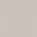 Load image into Gallery viewer, Shaw Canvas Comfort — Warm Blanket 00114 carpet
