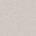 Load image into Gallery viewer, Shaw Canvas Comfort — Clean Linen 00122 carpet
