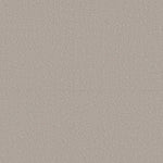 Load image into Gallery viewer, Shaw Canvas Comfort — Chill In The Air 00126 carpet
