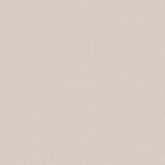 Load image into Gallery viewer, Shaw Canvas Comfort — Whitewashed Frame 00154 carpet
