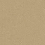 Load image into Gallery viewer, Shaw Canvas Comfort — Hello Sunshine 00224 carpet
