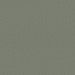 Load image into Gallery viewer, Shaw Canvas Comfort — Meadow 00328 carpet
