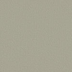 Load image into Gallery viewer, Shaw Canvas Comfort — Willow Tree 00330 carpet
