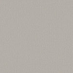 Load image into Gallery viewer, Shaw Canvas Comfort — Quiet Time 00514 carpet
