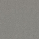 Load image into Gallery viewer, Shaw Canvas Comfort — Cool Breeze 00525 carpet
