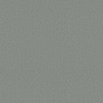 Load image into Gallery viewer, Shaw Canvas Comfort — Misty Rain 00529 carpet
