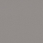 Load image into Gallery viewer, Shaw Canvas Comfort — Whisper 00536 carpet
