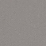Load image into Gallery viewer, Shaw Canvas Comfort — Sunday Stroll 00546 carpet
