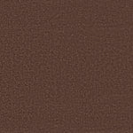 Load image into Gallery viewer, Shaw Canvas Comfort — Chili 00620 carpet
