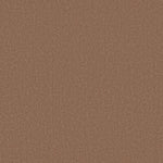 Load image into Gallery viewer, Shaw Canvas Comfort — Terracotta Pot 00650 carpet
