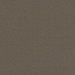 Load image into Gallery viewer, Shaw Canvas Comfort — Summer House 00708 carpet
