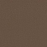 Load image into Gallery viewer, Shaw Canvas Comfort — Cliff Hiking 00714 carpet
