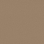Load image into Gallery viewer, Shaw Canvas Comfort — Falling Leaves 00720 carpet
