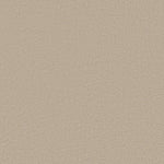 Load image into Gallery viewer, Shaw Canvas Comfort — My Haven 00743 carpet
