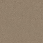Load image into Gallery viewer, Shaw Canvas Comfort — Camping Trip 00749 carpet

