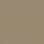 Load image into Gallery viewer, Shaw Canvas Comfort — Honey Tea 00750 carpet
