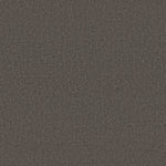 Load image into Gallery viewer, Shaw Canvas Comfort — Weekend Getaway 00753 carpet
