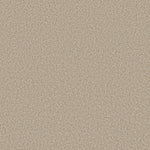 Load image into Gallery viewer, Tweed Comfort I Shaw nylon carpet
