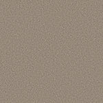 Load image into Gallery viewer, Shaw Tweed Comfort I - Honeymoon (00174) - 5E661-00174
