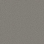 Load image into Gallery viewer, Shaw Tweed Comfort I - All Dressed Up (00178) - 5E661-00178
