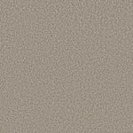 Load image into Gallery viewer, Shaw Tweed Comfort Ii - Got The Giggles (00172) - 5E662-00172
