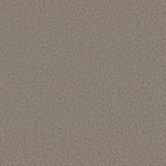 Load image into Gallery viewer, Shaw Tweed Comfort Ii - Stroke Of Luck (00175) - 5E662-00175
