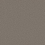 Load image into Gallery viewer, Shaw Tweed Comfort Ii - Pop Star (00773) - 5E662-00773
