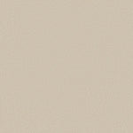 Load image into Gallery viewer, Shaw Awaken Spirit I 12' — Cream 00101 carpet
