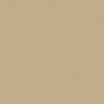 Load image into Gallery viewer, Shaw Awaken Spirit I 12' — Sugar Cookie 00105 carpet
