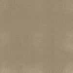 Load image into Gallery viewer, Shaw Awaken Spirit I 12' — Muffin 00106 carpet
