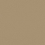 Load image into Gallery viewer, Shaw Awaken Spirit I 12' — Classic Buff 00108 carpet
