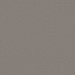 Load image into Gallery viewer, Shaw Awaken Spirit I 12' — Boulder Taupe 00117 carpet
