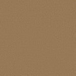 Load image into Gallery viewer, Shaw Awaken Spirit I 12' — Warm Brass 00225 carpet
