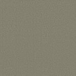 Load image into Gallery viewer, Shaw Awaken Spirit I 12' — Silver Sage 00360 carpet

