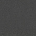 Load image into Gallery viewer, Shaw Awaken Spirit I 12' — Darkroom 00512 carpet
