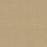 Load image into Gallery viewer, Shaw Awaken Spirit II 12' — Sugar Cookie 00105 carpet
