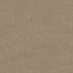 Load image into Gallery viewer, Shaw Awaken Spirit II 12' — Fresco 00109 carpet
