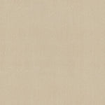 Load image into Gallery viewer, Shaw Awaken Spirit II 12' — Cottage 00111 carpet
