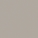 Load image into Gallery viewer, Shaw Awaken Spirit II 12' — Ice Cube 00114 carpet
