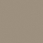 Load image into Gallery viewer, Shaw Awaken Spirit II 12' — Neutral Ground 00115 carpet
