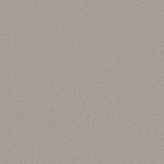 Load image into Gallery viewer, Shaw Awaken Spirit II 12' — Hazy Sky 00116 carpet
