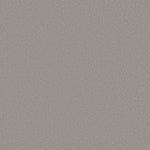 Load image into Gallery viewer, Shaw Awaken Spirit II 12' — Subtle Touch 00118 carpet
