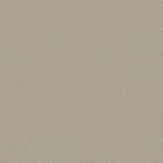 Load image into Gallery viewer, Shaw Awaken Spirit II 12' — Whiskers 00161 carpet
