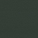 Load image into Gallery viewer, Shaw Awaken Spirit II 12' — Blue Spruce 00307 carpet
