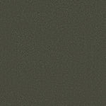 Load image into Gallery viewer, Shaw Awaken Spirit II 12' — Olive Tree 00310 carpet
