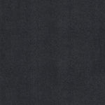 Load image into Gallery viewer, Shaw Awaken Spirit II 12' — Midnight Sky 00407 carpet
