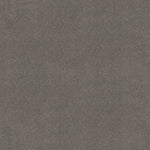 Load image into Gallery viewer, Shaw Awaken Spirit II 12' — Taupetone 00710 carpet

