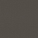Load image into Gallery viewer, Shaw Awaken Spirit II 12' — Rocky Slope 00711 carpet
