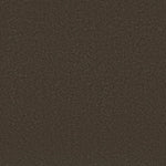 Load image into Gallery viewer, Shaw Awaken Spirit II 12' — Wood Grain 00721 carpet
