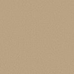 Load image into Gallery viewer, Shaw Awaken Spirit II 15' — Sugar Cookie 00105 carpet
